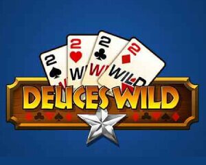 deuces wild play n go logo Logo